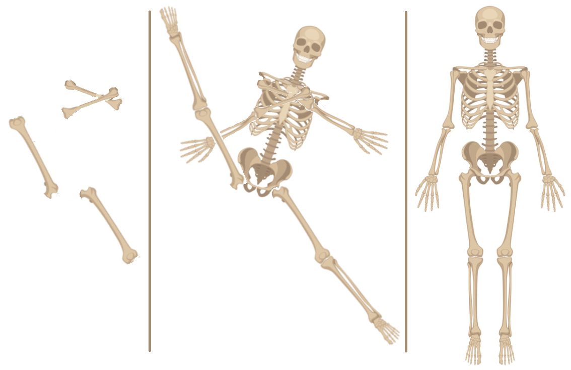posizione del corpo ritrovato sepolto in contrada Cappasanta
