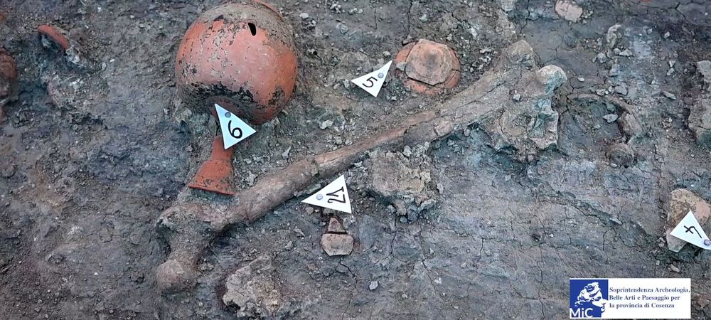 Immagine tratta dal sito della Soprintendenza
