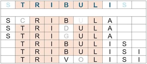 Scribla, stridula, tribulis