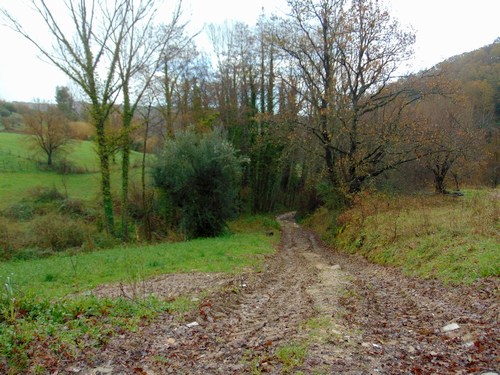 Strada per val di Crati