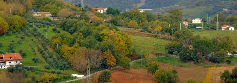 Tenimento San Laoferio