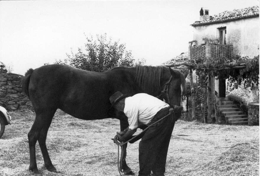 nonno Amedeo ferra la cavalla