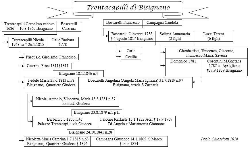 Albero genealogico Trentacapilli