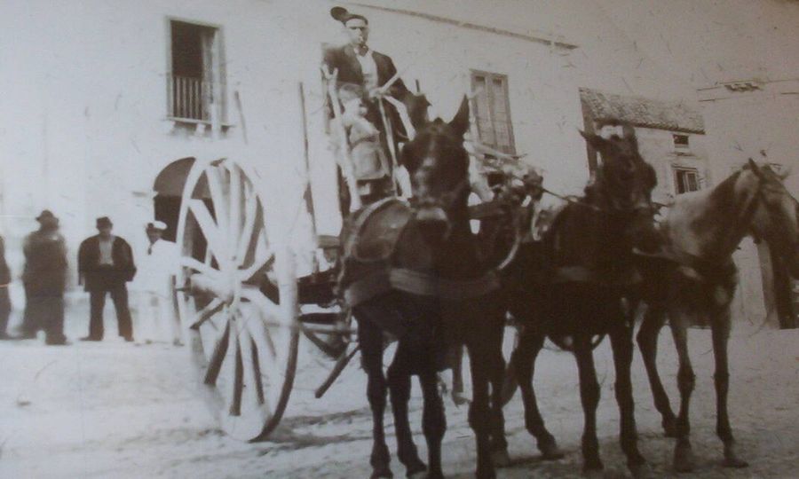 Un membro della famiglia Fasano alla guida di un <i>tra&igrave;no</i>