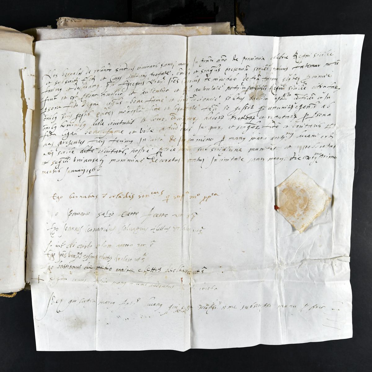 Documento n.3 fascicolo Andreace Gonzaga