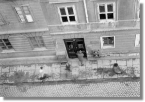via Udine